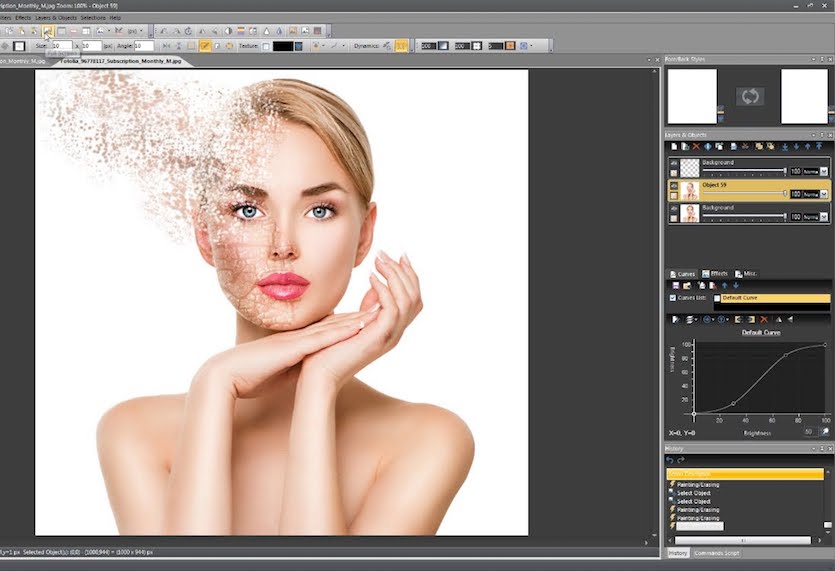 portrait professional 10 download torret portrait professional 10 download torret
