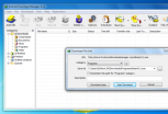 Internet Download Manager