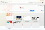 Torch Browser